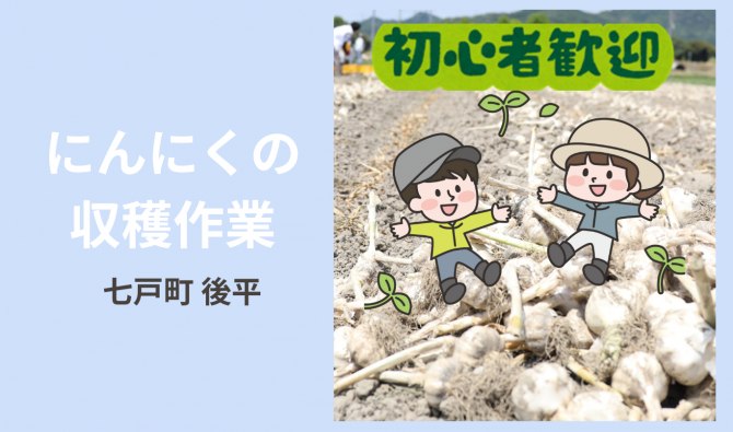 「「 八甲田農場さん」にんにく収穫作業全般　6月お仕事カレンダー」のサムネイル